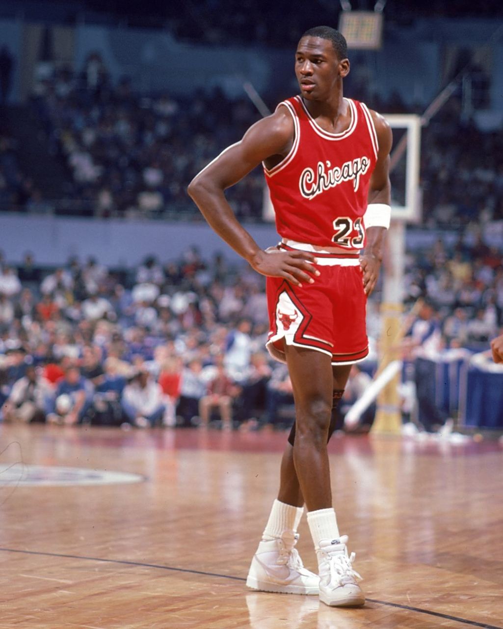 继续发挥重 继续发挥重